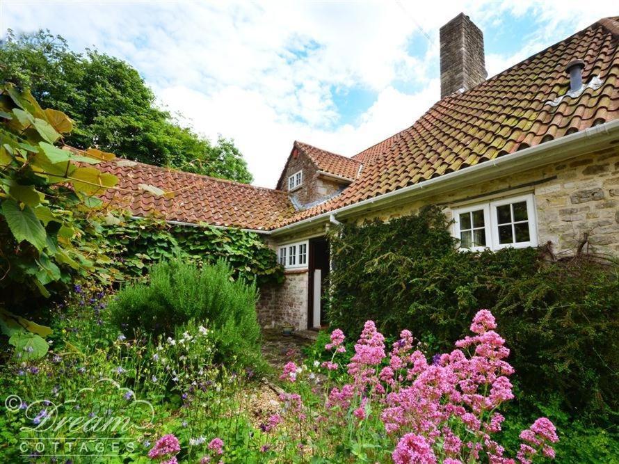 Sixpenny Cottage Upwey Exterior foto